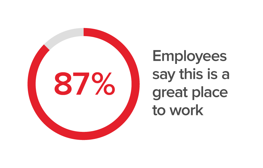 87% employees say this is a great place to work